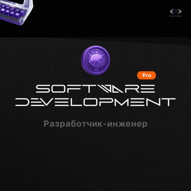 Software (Разработчик-инженер)